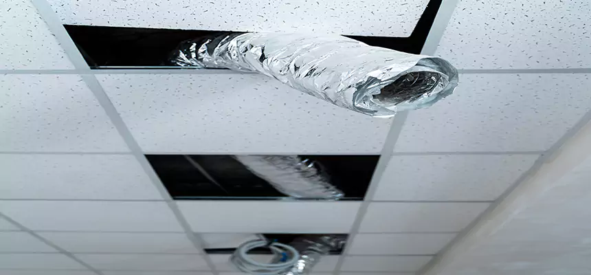 Our Air Duct Pet Hair Removal Services in Lemoore, CA