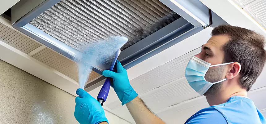 Proactive Dryer Vent & Auxiliary Duct Pollen Cleanup in Lemoore, CA