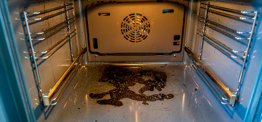 Our Dryer Vent Mold Cleaning Services in Lemoore, CA