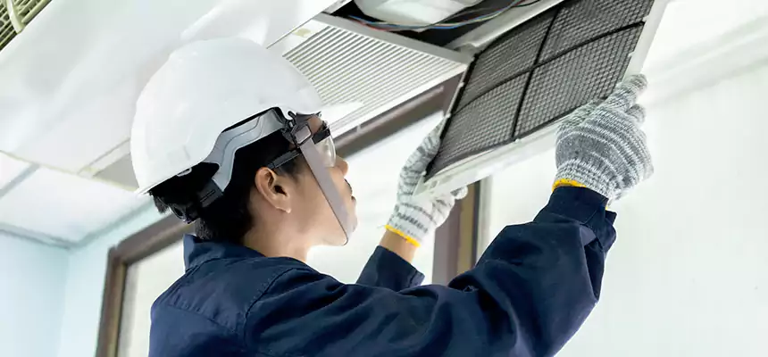 Our Mold & Mildew Removal from Air Ducts Services in Lemoore, CA