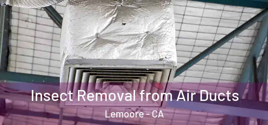 Insect Removal from Air Ducts Lemoore - CA