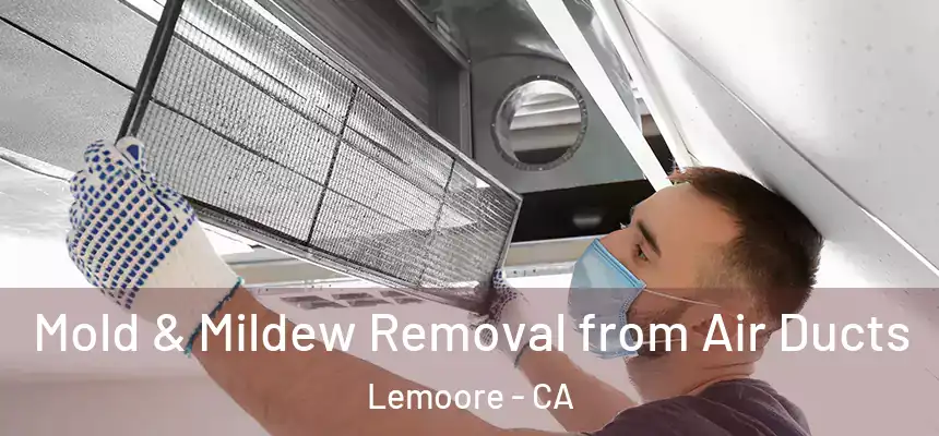 Mold & Mildew Removal from Air Ducts Lemoore - CA