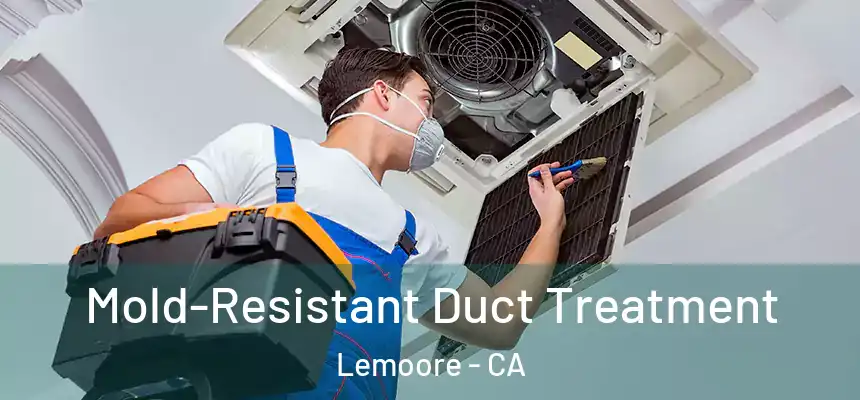 Mold-Resistant Duct Treatment Lemoore - CA