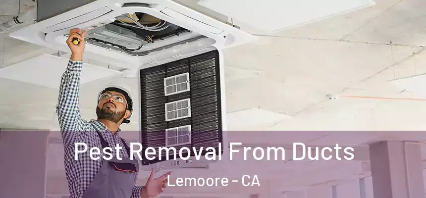 Pest Removal From Ducts Lemoore - CA