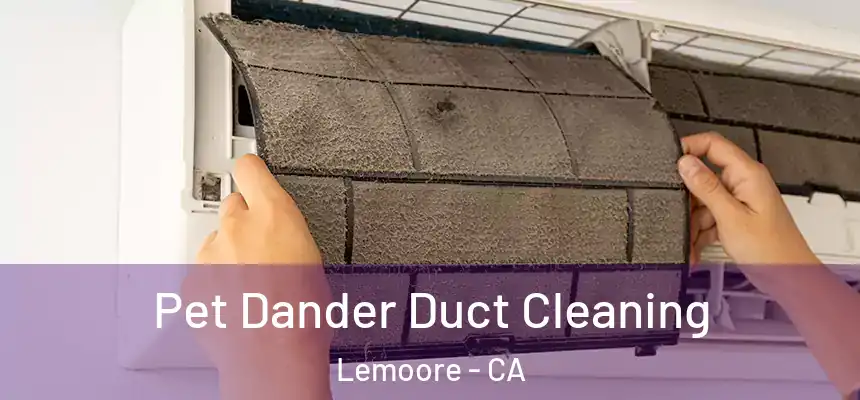  Pet Dander Duct Cleaning Lemoore - CA