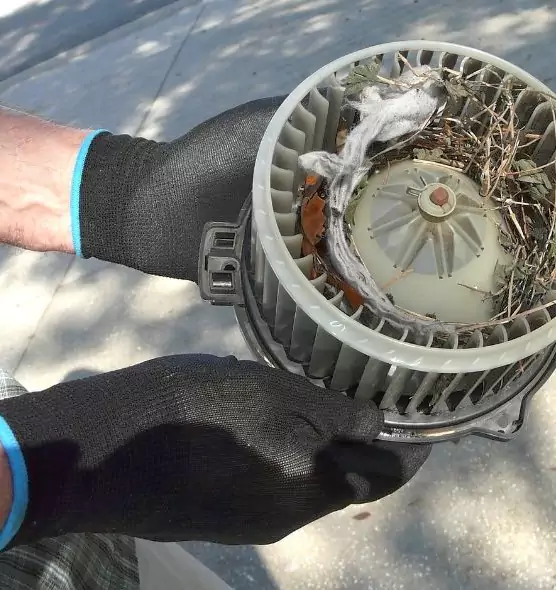 About Air Duct Rat Removal in Lemoore, CA