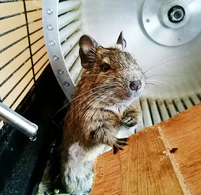 Why Homeowners & Businesses Trust Us Lemoore, CA?