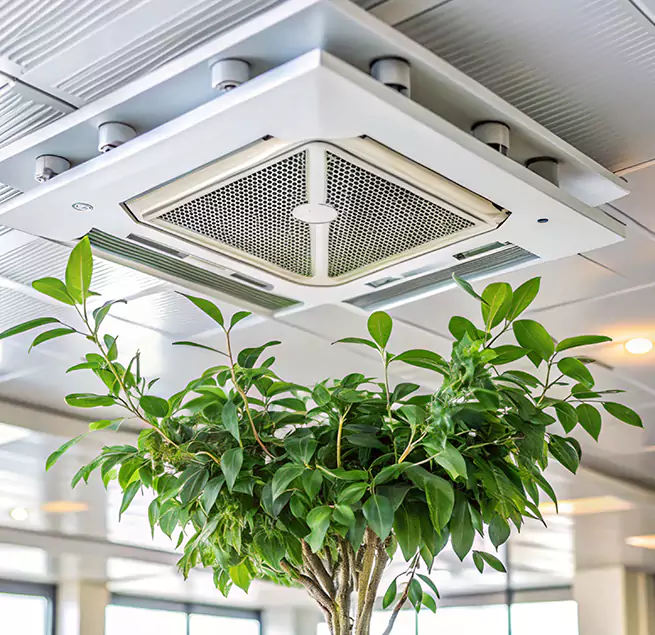 Why Homeowners & Businesses Trust Us in Lemoore, CA?