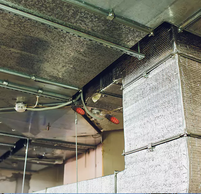 Why Homeowners & Businesses Trust Us Lemoore, CA?